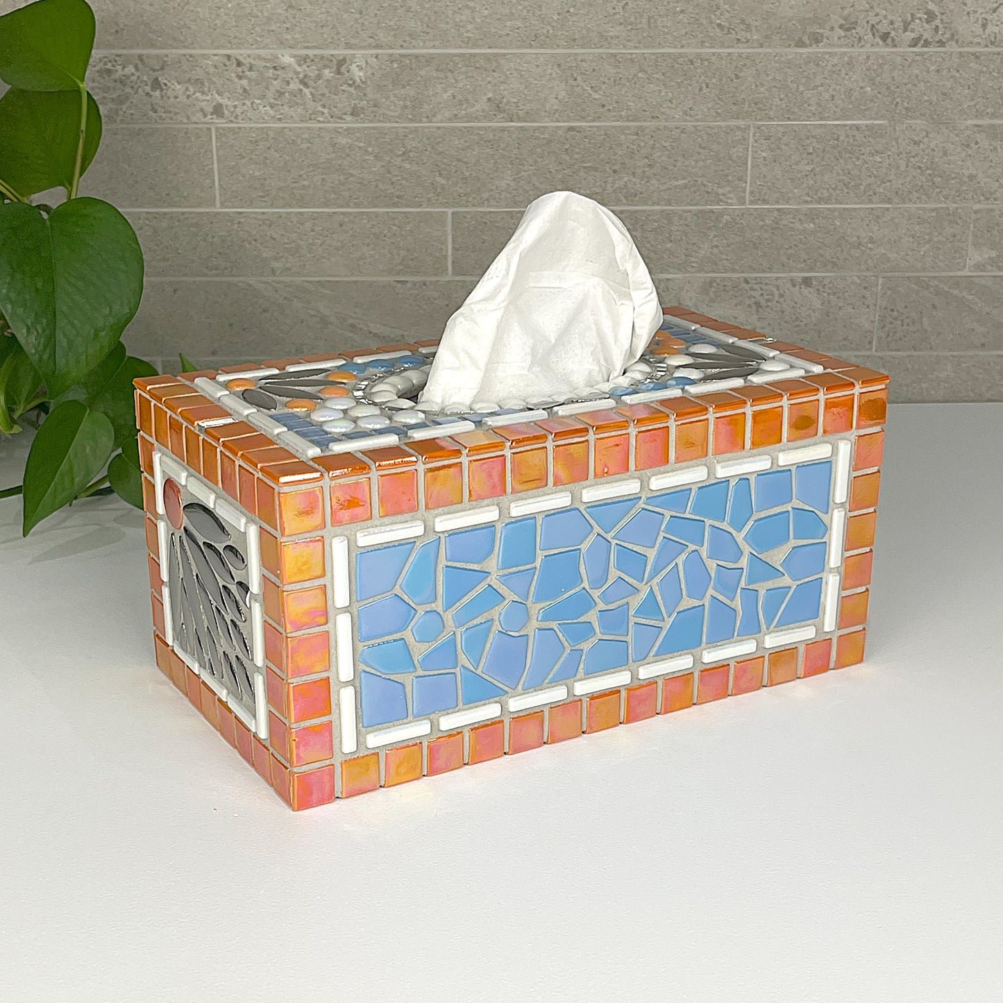 Orange and Blue Tissue Box Cover