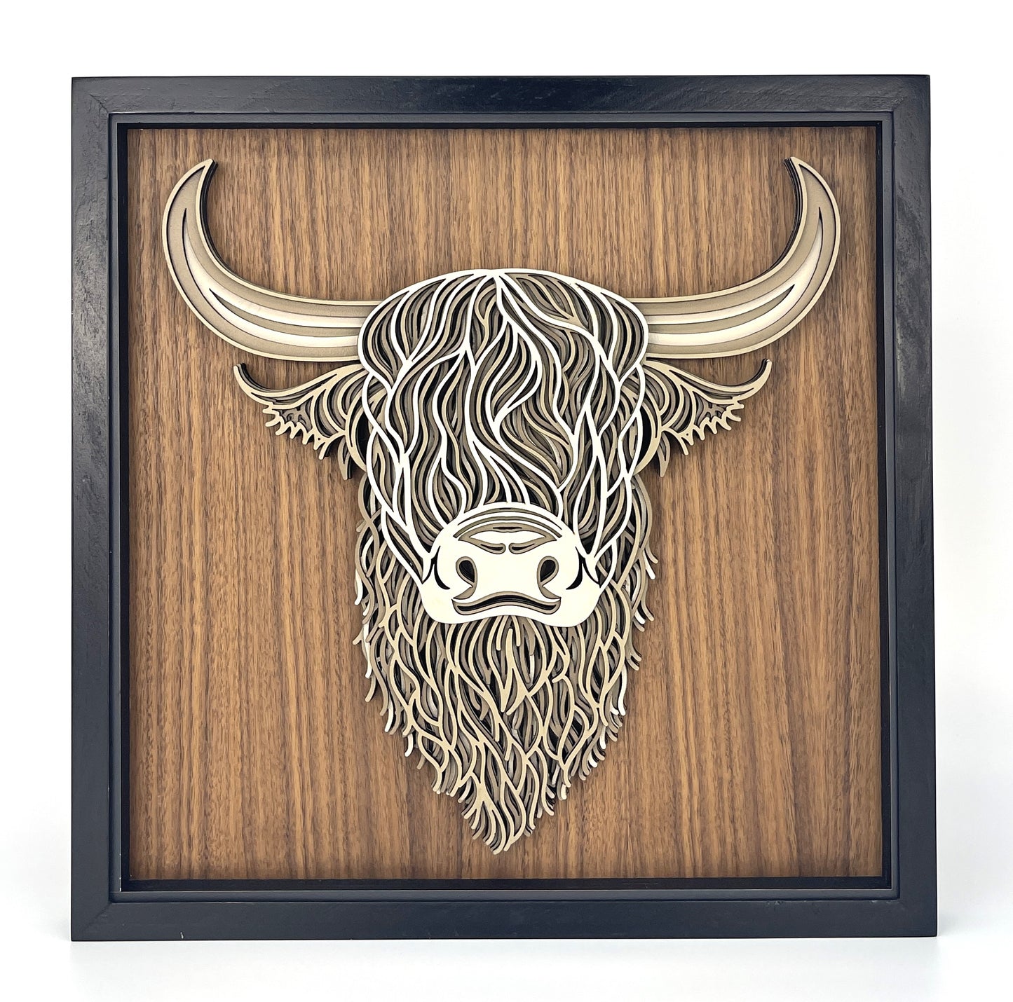 Highland Cow
