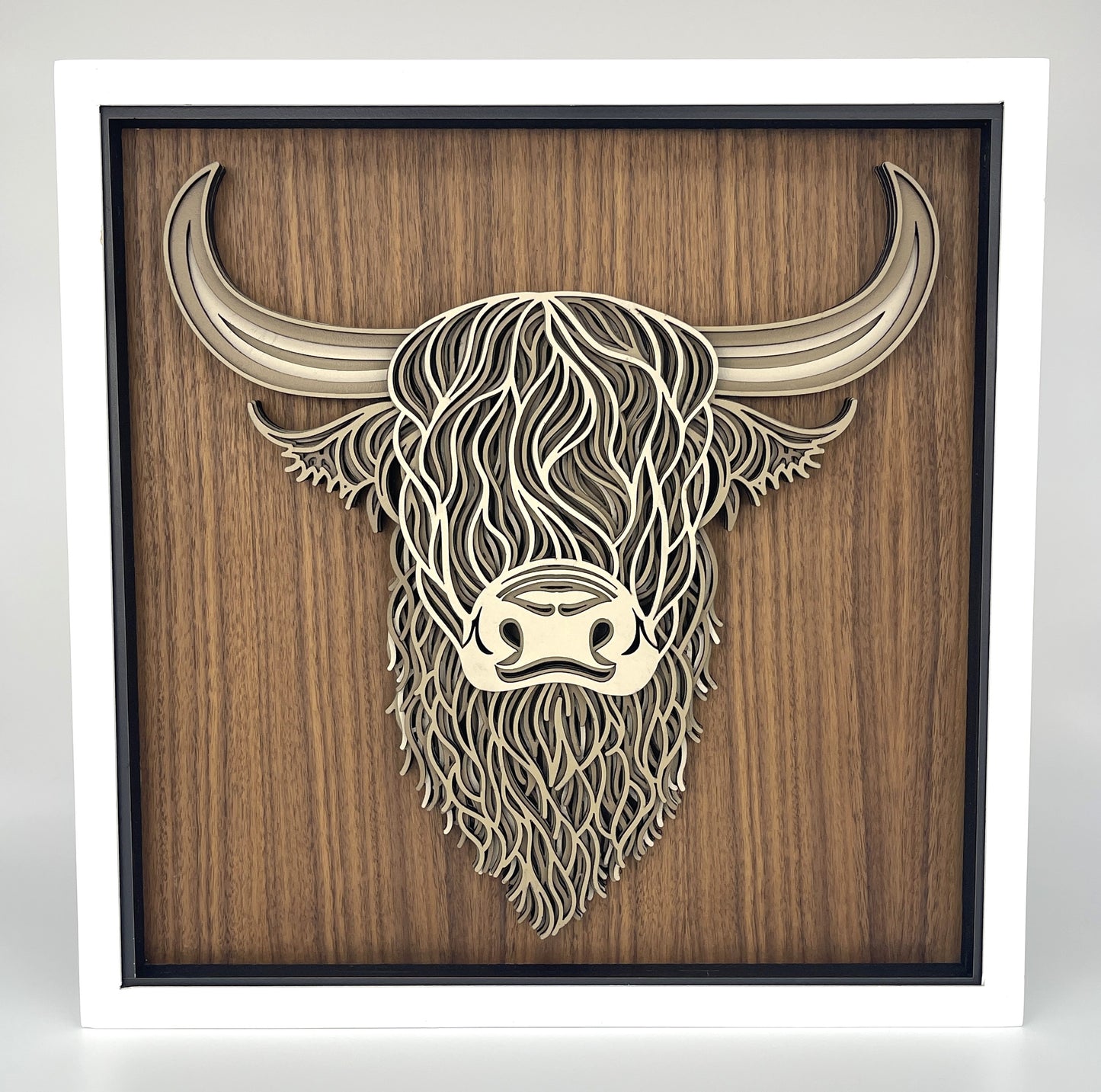 Highland Cow