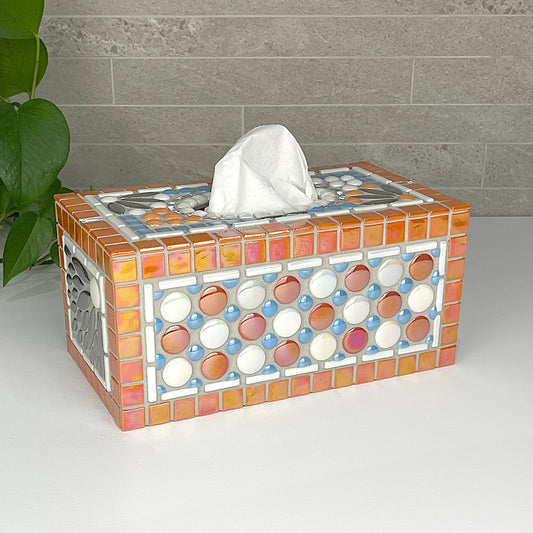 Orange and Blue Tissue Box Cover